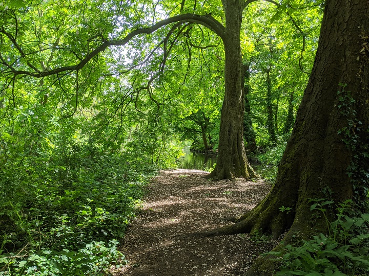 Crane Park Island Nature Reserve – Whitton Village